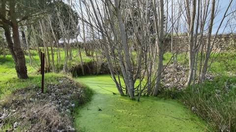 Quinta  Venda em Alcains,Castelo Branco