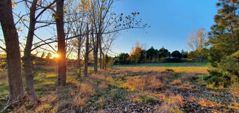 Quinta  Venda em Alcains,Castelo Branco