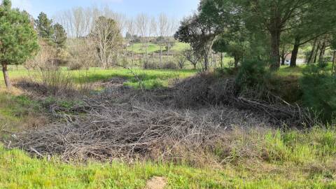 Quinta  Venda em Alcains,Castelo Branco