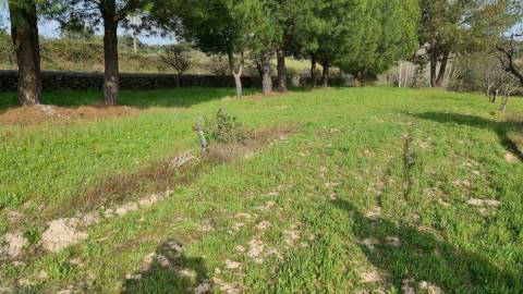 Quinta  Venda em Alcains,Castelo Branco