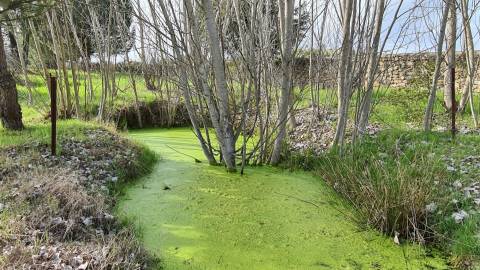 Quinta  Venda em Alcains,Castelo Branco