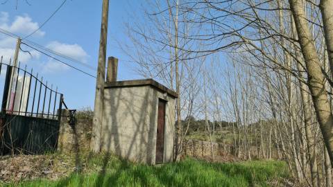 Quinta  Venda em Alcains,Castelo Branco
