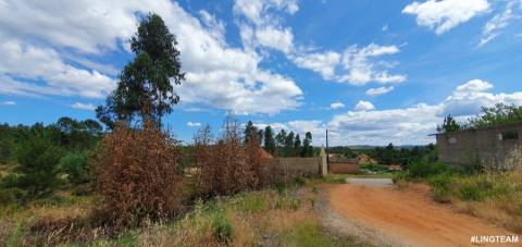 Quinta T1 para venda, na Freguesia das Sarzedas com 4680m2