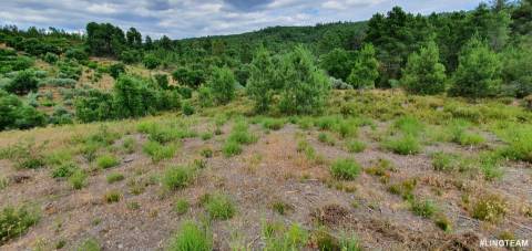 Quinta T1 para venda, na Freguesia das Sarzedas com 4680m2