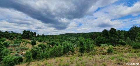 Quinta T1 para venda, na Freguesia das Sarzedas com 4680m2
