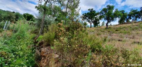 Quinta T1 para venda, na Freguesia das Sarzedas com 4680m2
