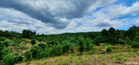 Quinta T1 para venda, na Freguesia das Sarzedas com 4680m2