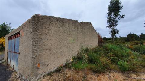 Quinta T1 para venda, na Freguesia das Sarzedas com 4680m2