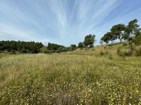 Quinta com 4920m2 nos Maxiais - Castelo Branco