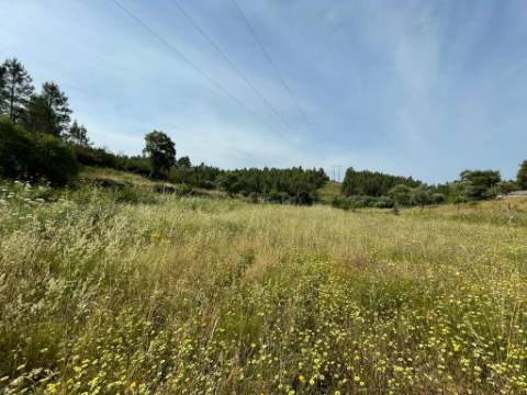 Quinta com 4920m2 nos Maxiais - Castelo Branco