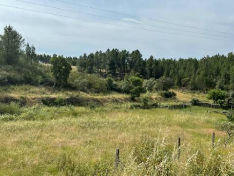 Quinta com 4920m2 nos Maxiais - Castelo Branco