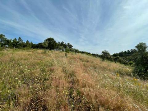 Quinta com 4920m2 nos Maxiais - Castelo Branco