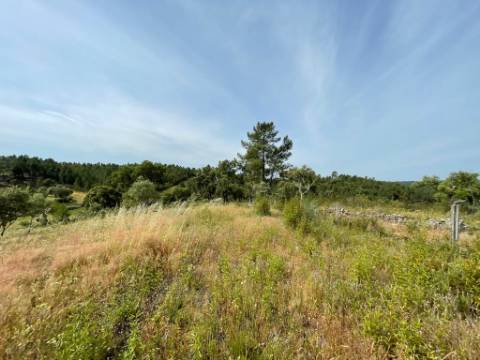 Quinta com 4920m2 nos Maxiais - Castelo Branco