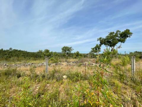 Quinta com 4920m2 nos Maxiais - Castelo Branco