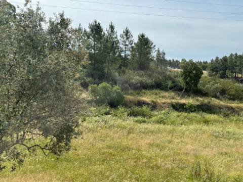 Quinta com 4920m2 nos Maxiais - Castelo Branco