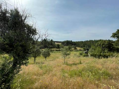 Quinta com 4920m2 nos Maxiais - Castelo Branco