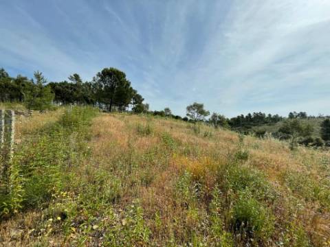 Quinta com 4920m2 nos Maxiais - Castelo Branco