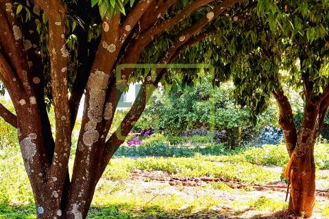 Palácio >=T10 Venda em Tortosendo,Covilhã