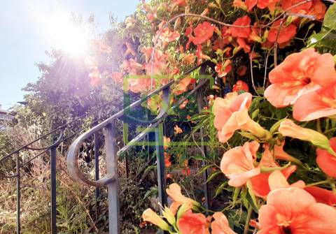 Palácio >=T10 Venda em Tortosendo,Covilhã