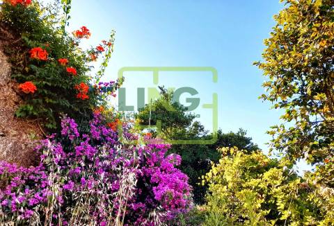 Palácio >=T10 Venda em Tortosendo,Covilhã