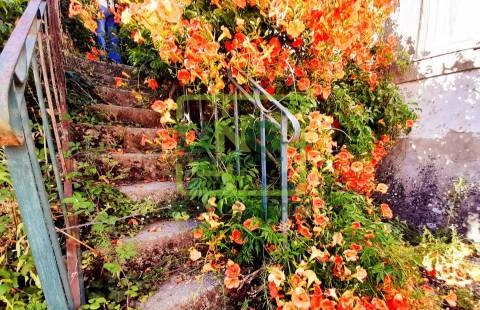 Palácio >=T10 Venda em Tortosendo,Covilhã