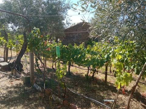 Quintinha em Proença a Velha