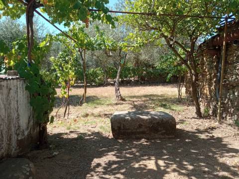 Quintinha em Proença a Velha