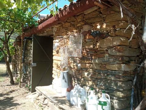 Quintinha em Proença a Velha