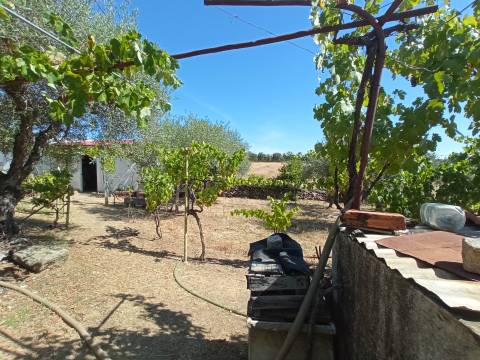 Quintinha em Proença a Velha