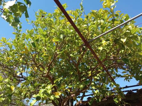 Quintinha em Proença a Velha