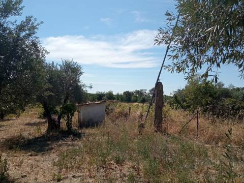 Quintinha em Proença a Velha