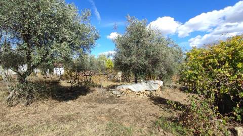 Quintinha em Proença a Velha