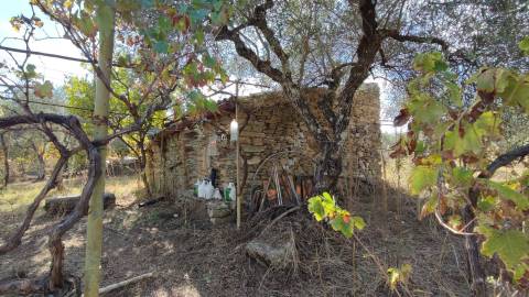 Quintinha em Proença a Velha