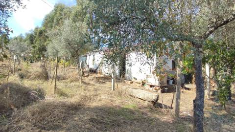 Quintinha em Proença a Velha