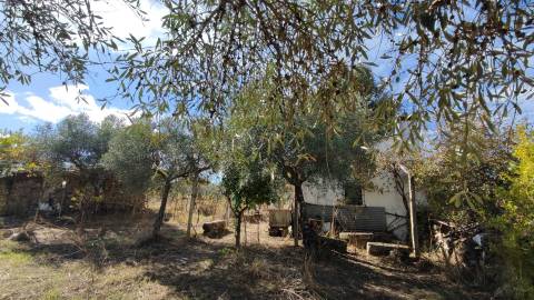 Quintinha em Proença a Velha