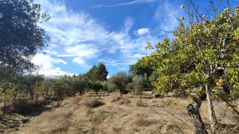 Quintinha em Proença a Velha