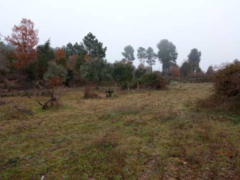 Terreno Rústico Penamacor