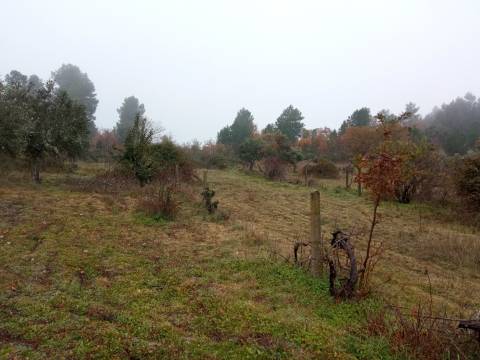 Terreno Rústico Penamacor