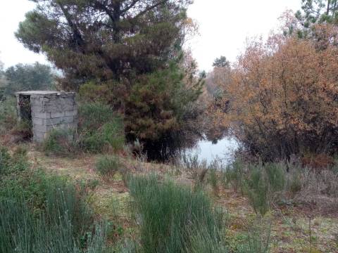 Terreno Rústico Penamacor