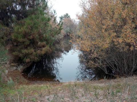 Terreno Rústico Penamacor