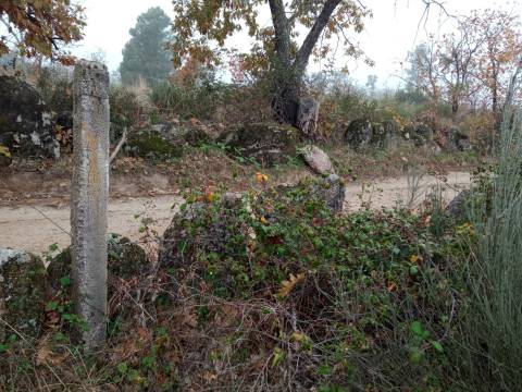 Terreno Rústico Penamacor