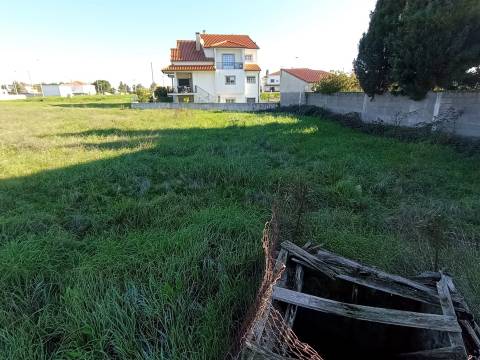 Lote de Terreno  Venda em Alcains,Castelo Branco
