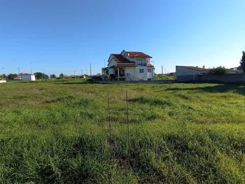 Lote de Terreno  Venda em Alcains,Castelo Branco