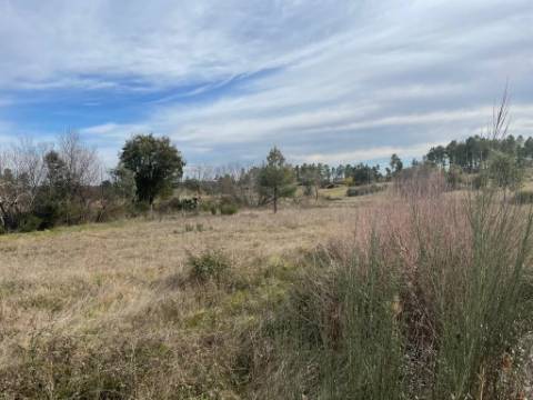 Quinta com cerca de 1,4 Ha