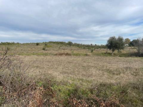 Quinta com cerca de 1,4 Ha