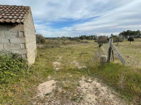Quinta com cerca de 1,4 Ha