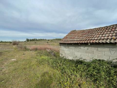 Quinta com cerca de 1,4 Ha