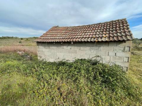 Quinta com cerca de 1,4 Ha