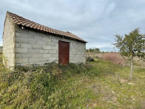 Quinta com cerca de 1,4 Ha