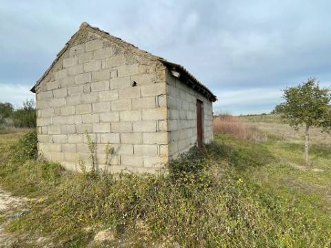 Quinta com cerca de 1,4 Ha